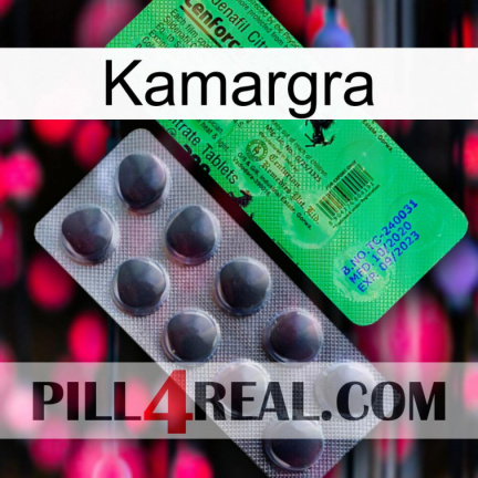 Kamargra new04